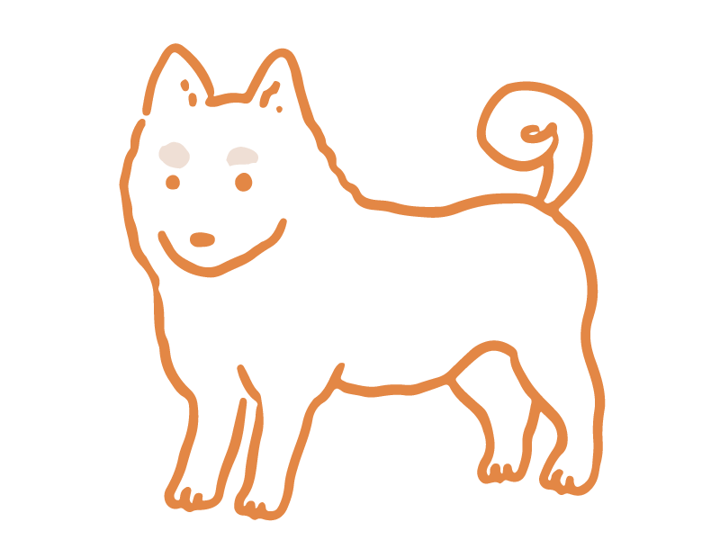 柴犬