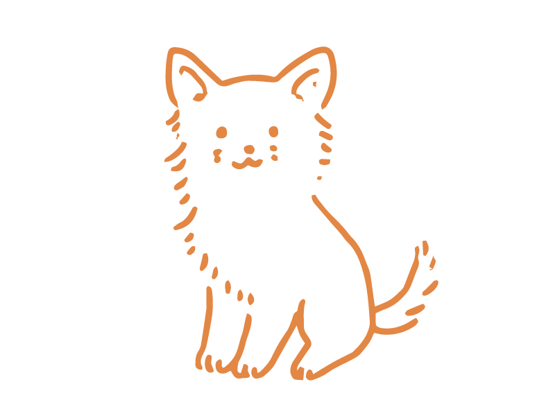 チワワ