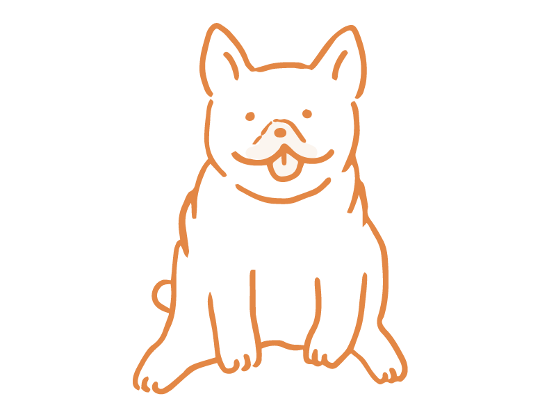 フレンチブルドッグ